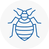 Bed Bug Extermination In Coningsby